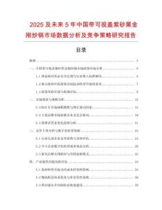 2025及未來5年中國帶可視蓋紫砂黑金剛炒鍋市場數(shù)據(jù)分析及競爭策略研究報告