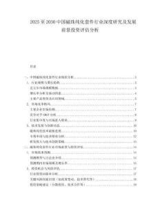 2025至2030中國磁珠純化套件行業深度研究及發展前景投資評估分析