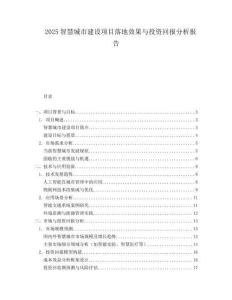 2025智慧城市建設項目落地效果與投資回報分析報告