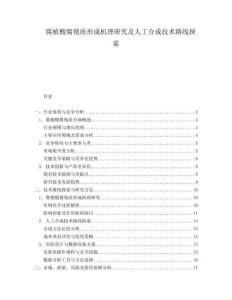 腐植酸腐殖質形成機理研究及人工合成技術路線探索