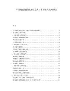 罕見病藥物醫保支付方式與市場準入策略報告