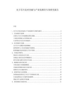 光子芯片技術(shù)突破與產(chǎn)業(yè)化路徑專項研究報告