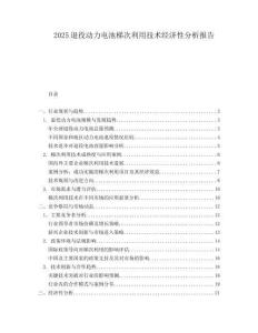 2025退役動力電池梯次利用技術(shù)經(jīng)濟性分析報告