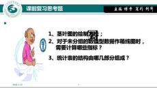 《統計學》課件  4數據分布特征的測度