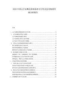 2025中國元宇宙概念落地場景可行性及技術瓶頸突破分析報告