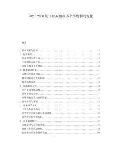 2025-2030統(tǒng)計(jì)財(cái)務(wù)數(shù)據(jù)多個(gè)季度利潤變化