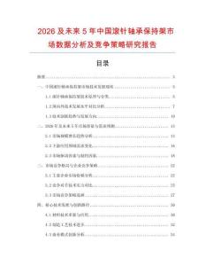 2026及未來(lái)5年中國(guó)滾針軸承保持架市場(chǎng)數(shù)據(jù)分析及競(jìng)爭(zhēng)策略研究報(bào)告