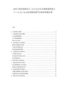 2025-2030陸海空どこから広がる市場需要供給スケール大いなる応用開発部門分析研究報告書