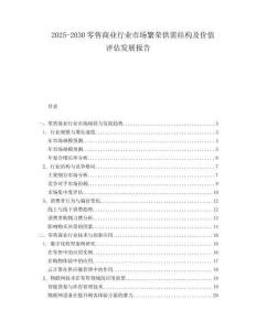 2025-2030零售商業(yè)行業(yè)市場(chǎng)繁榮供需結(jié)構(gòu)及價(jià)值評(píng)估發(fā)展報(bào)告