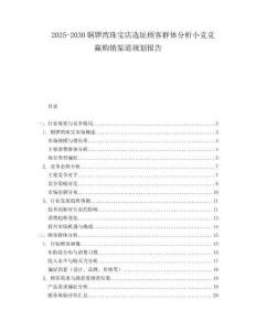 2025-2030銅鑼灣珠寶店選址顧客群體分析小克克贏購銷渠道規(guī)劃報告