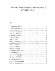 2025-2030綠色能源產(chǎn)業(yè)供需矛盾洞察及發(fā)展趨勢(shì)評(píng)估規(guī)劃研究報(bào)告