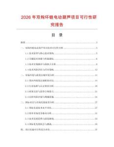 2026年雙鉤環(huán)鏈電動(dòng)葫蘆項(xiàng)目可行性研究報(bào)告
