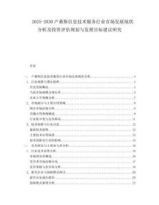 2025-2030盧桑斯信息技術服務行業市場發展現狀分析及投資評估規劃與發展目標建議研究