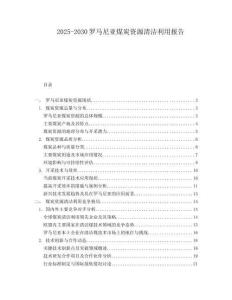 2025-2030羅馬尼亞煤炭資源清潔利用報告