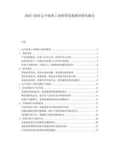 2025-2030遼中南重工業(yè)轉型發(fā)展路徑研究報告