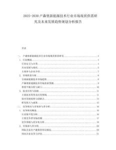 2025-2030盧森堡新能源技術(shù)行業(yè)市場(chǎng)現(xiàn)狀供需研究及未來(lái)發(fā)展趨勢(shì)規(guī)劃分析報(bào)告