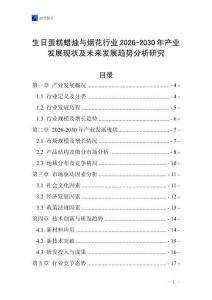 生日蛋糕蠟燭與煙花行業(yè)2026-2030年產(chǎn)業(yè)發(fā)展現(xiàn)狀及未來發(fā)展趨勢分析研究