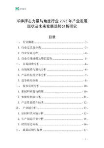 球棒揮擊力量與角度行業2026年產業發展現狀及未來發展趨勢分析研究