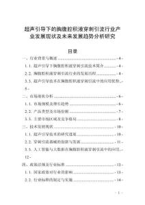 超聲引導下的胸腹腔積液穿刺引流行業產業發展現狀及未來發展趨勢分析研究