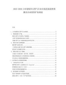 2025-2030土庫曼斯坦天然氣行業市場發展趨勢預測及企業投資擴張規劃
