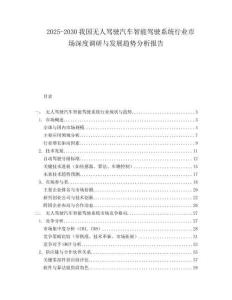2025-2030我國無人駕駛汽車智能駕駛系統行業市場深度調研與發展趨勢分析報告