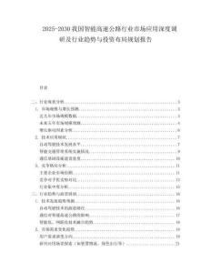 2025-2030我國智能高速公路行業市場應用深度調研及行業趨勢與投資布局規劃報告