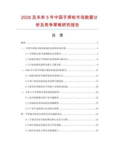 2026及未來5年中國手焊槍市場(chǎng)數(shù)據(jù)分析及競(jìng)爭(zhēng)策略研究報(bào)告