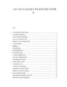 2025-2030無人機(jī)運(yùn)輸產(chǎn)業(yè)資金流向規(guī)劃與管理簿冊