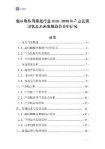 趣味蜘蛛網(wǎng)攀爬行業(yè)2026-2030年產(chǎn)業(yè)發(fā)展現(xiàn)狀及未來(lái)發(fā)展趨勢(shì)分析研究