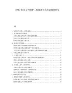 2025-2030文物保護(hù)工程技術(shù)市場發(fā)展投資研究