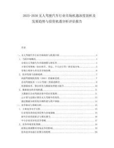 2025-2030無人駕駛汽車行業市場機遇深度剖析及發展趨勢與投資機遇分析評估報告