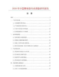 2026年中國靠背墊市場調查研究報告