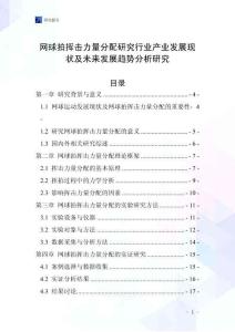 網球拍揮擊力量分配研究行業產業發展現狀及未來發展趨勢分析研究