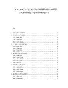 2025-2030無人駕駛自動駕駛路測技術行業市場供需現狀及投資改進規劃分析建議書