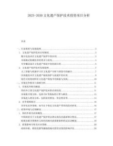 2025-2030文化遺產保護技術投資項目分析