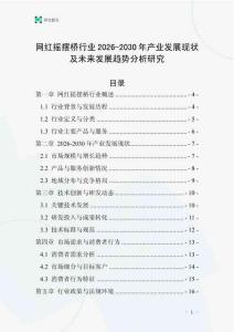 網(wǎng)紅搖擺橋行業(yè)2026-2030年產(chǎn)業(yè)發(fā)展現(xiàn)狀及未來發(fā)展趨勢分析研究