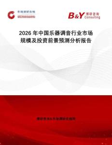 2026年中國樂器調音行業市場規模及投資前景預測分析報告