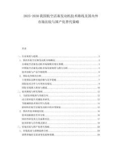 2025-2030我國航空活塞發(fā)動機技術(shù)路線及國內(nèi)外市場比較與國產(chǎn)化替代策略