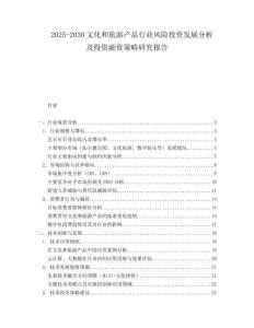 2025-2030文化和旅游產(chǎn)品行業(yè)風(fēng)險投資發(fā)展分析及投資融資策略研究報告