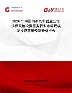 2026年中國向新興和創(chuàng)業(yè)公司提供風(fēng)險投資服務(wù)行業(yè)市場規(guī)模及投資前景預(yù)測分析報告