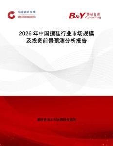 2026年中國擦鞋行業市場規模及投資前景預測分析報告