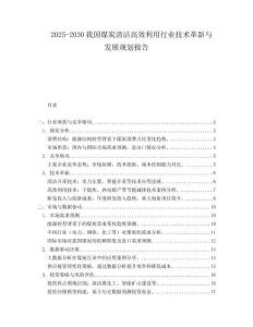 2025-2030我國煤炭清潔高效利用行業技術革新與發展規劃報告