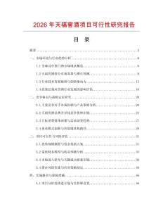 2026年天福窖酒項目可行性研究報告