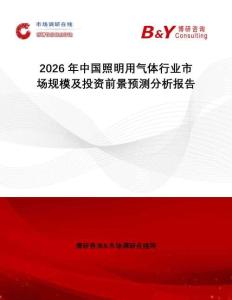 2026年中國照明用氣體行業市場規模及投資前景預測分析報告