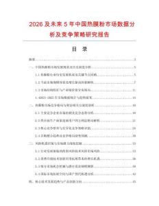 2026及未來5年中國熱膜粉市場數(shù)據(jù)分析及競爭策略研究報(bào)告
