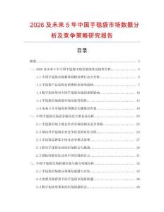 2026及未來5年中國手毯袋市場(chǎng)數(shù)據(jù)分析及競(jìng)爭(zhēng)策略研究報(bào)告