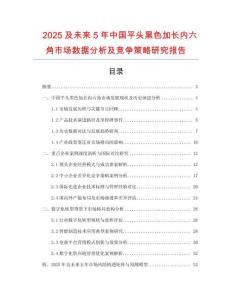 2025及未來5年中國平頭黑色加長內(nèi)六角市場數(shù)據(jù)分析及競爭策略研究報告