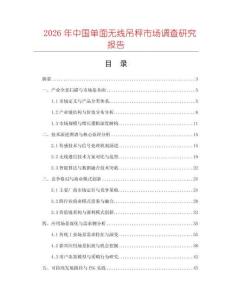 2026年中國單面無線吊秤市場調(diào)查研究報告