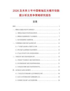 2026及未來5年中國錐軸反光鏡市場數(shù)據(jù)分析及競爭策略研究報告