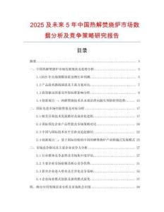 2025及未來5年中國熱解焚燒爐市場數(shù)據(jù)分析及競爭策略研究報(bào)告